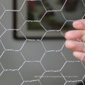 Vidaxl Amazon′s Choice Galvanized Steel Mesh 1 Inch Wire 0.8mm Hexagonal Wire Fence